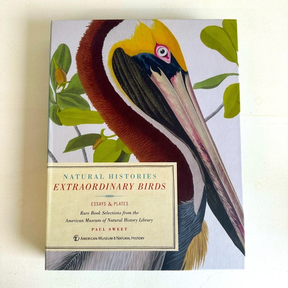 Other Extraordinary Birds Coffee Table Book W Art Prints Included